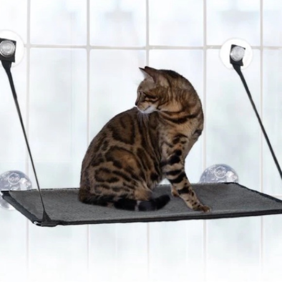 Light blue perch for your cat to put in the window with suction - Picture 1 of 7
